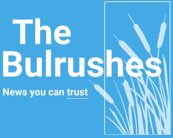 The Bulrushes: South Africans Are Less Stressed About Money, But Pressures Persist